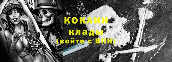 гидра Корсаков