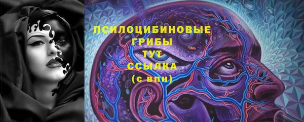 гидропоника Абаза