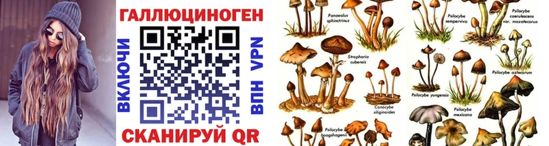 Псилоцибиновые грибы Cubensis  купить закладку  Нальчик 