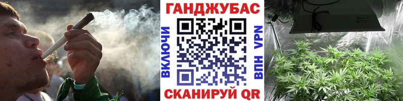 Конопля SATIVA & INDICA Нальчик